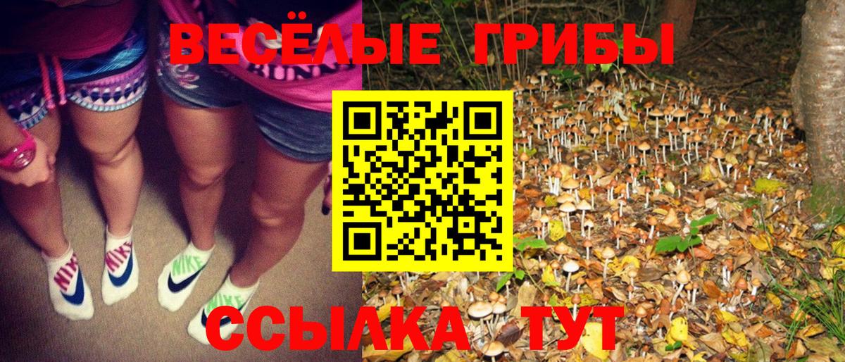 Галлюциногенные грибы GOLDEN TEACHER  Вход с VPN  Тосно 