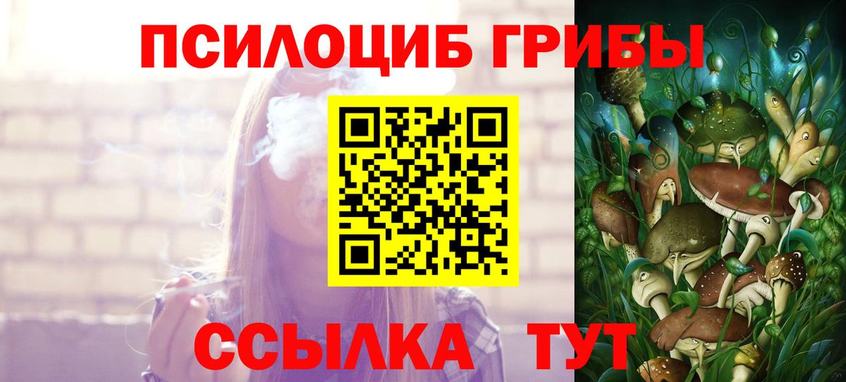 Псилоцибиновые грибы мицелий Тосно