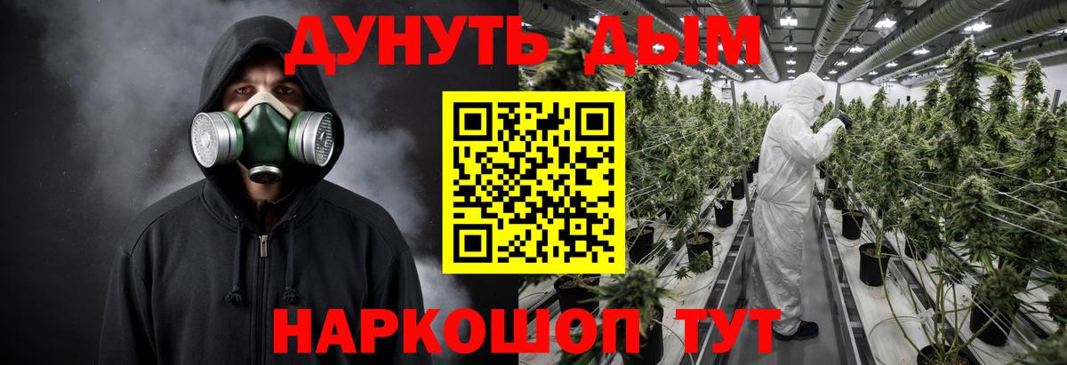 Тосно  Конопля SATIVA & INDICA  Канабис Amnesia  Вход с VPN 
