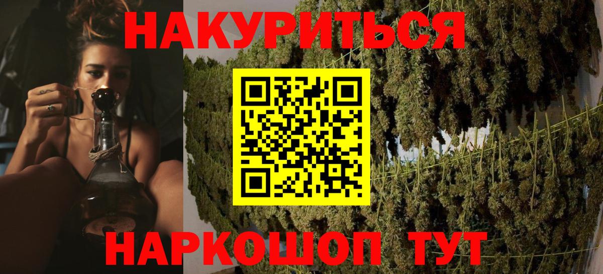 Бошки Шишки планчик Тосно